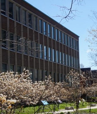 Windows of the Sociology Building