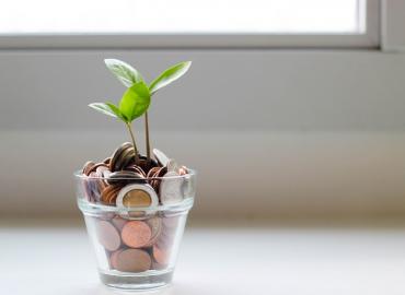 A young green plant grows out of a pot full of coins