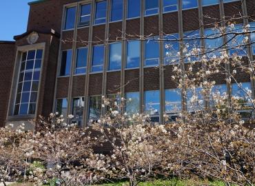 Sociology Building with Blossoming Trees