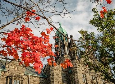 Maple tree branches in front of University College building